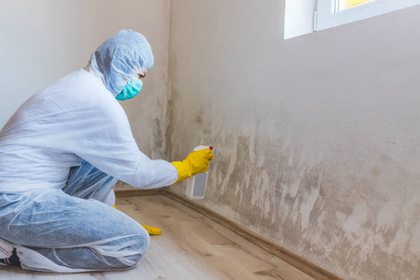 Hvac And Air Duct Mold Remediation inspection of HVAC system in Danville
