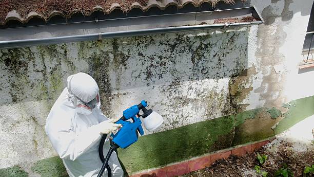 Mold Remediation service in Danville, Danville, VA